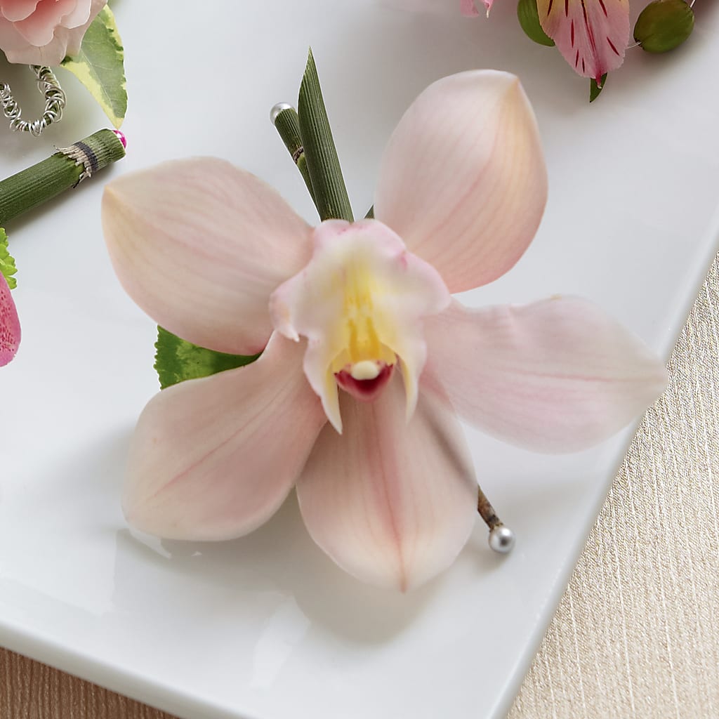 Pink Cymbidium Boutonniere – Heavenly Plants, Regina SK