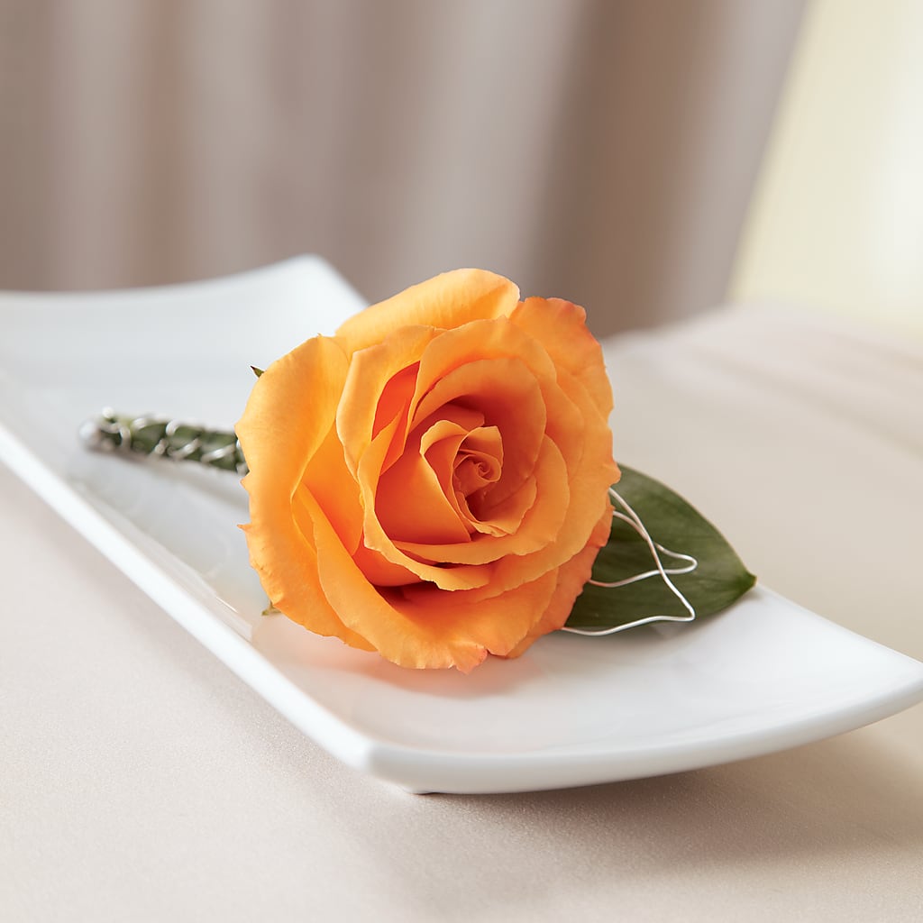 Lifetime of Love Boutonniere – Heavenly Plants, Regina SK