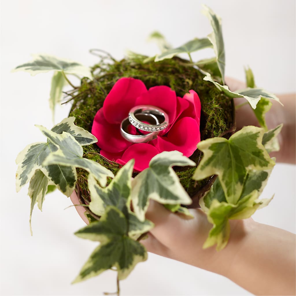 Lila Rose Ring Nest – Heavenly Plants, Regina SK