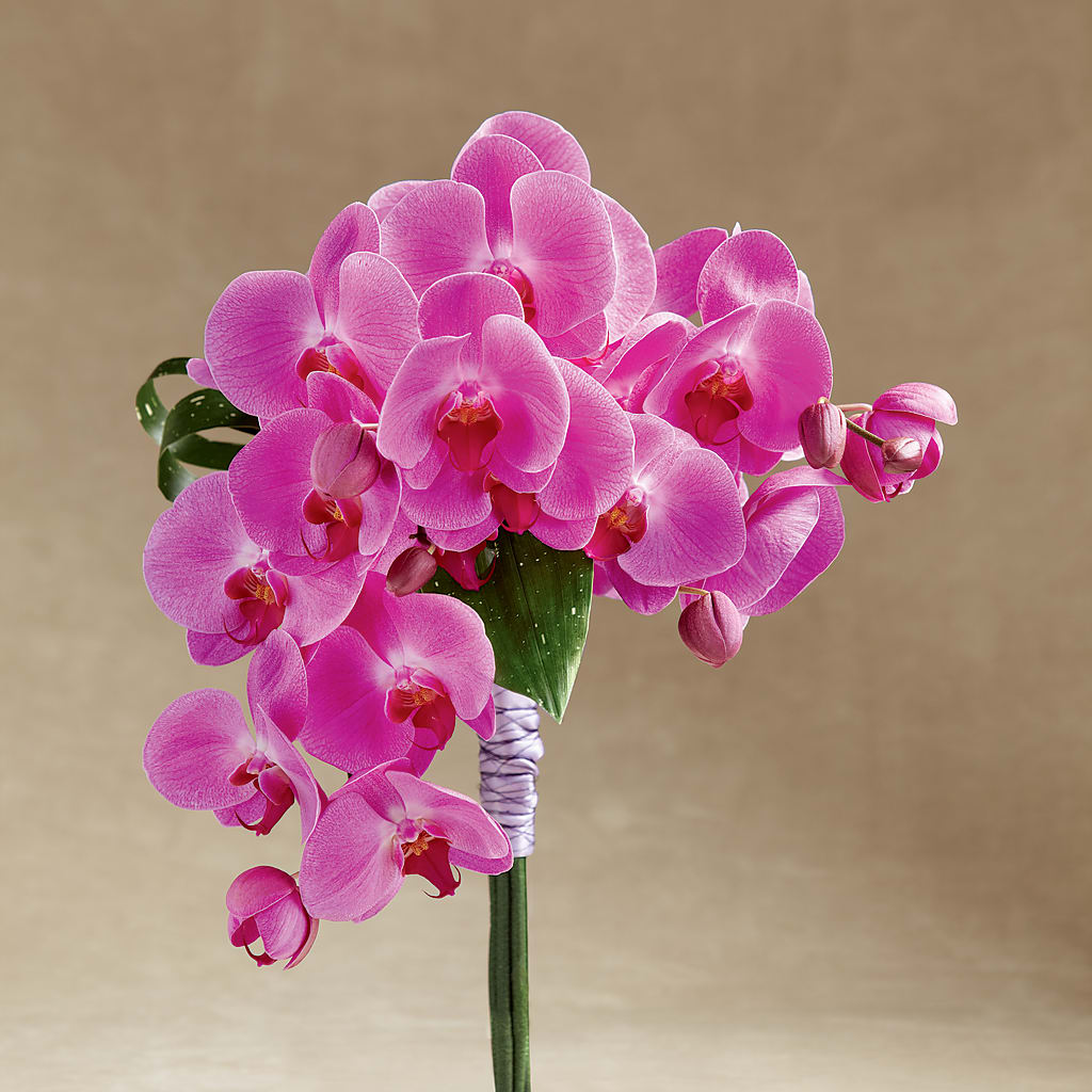 Glorious Bouquet – Heavenly Plants, Regina SK