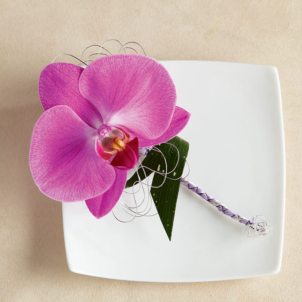 Glorious Boutonniere – Heavenly Plants, Regina SK