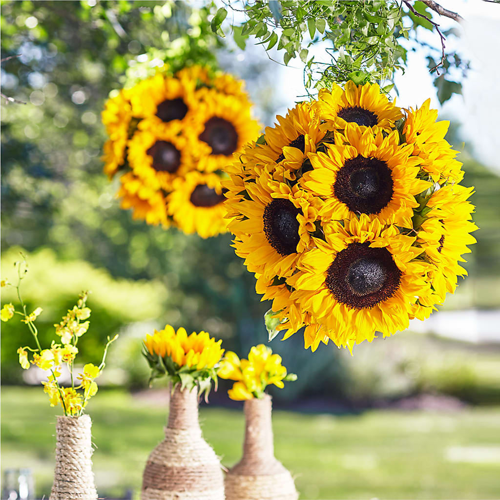 Sublime Garden Hanging Arrangement – Heavenly Plants, Regina SK