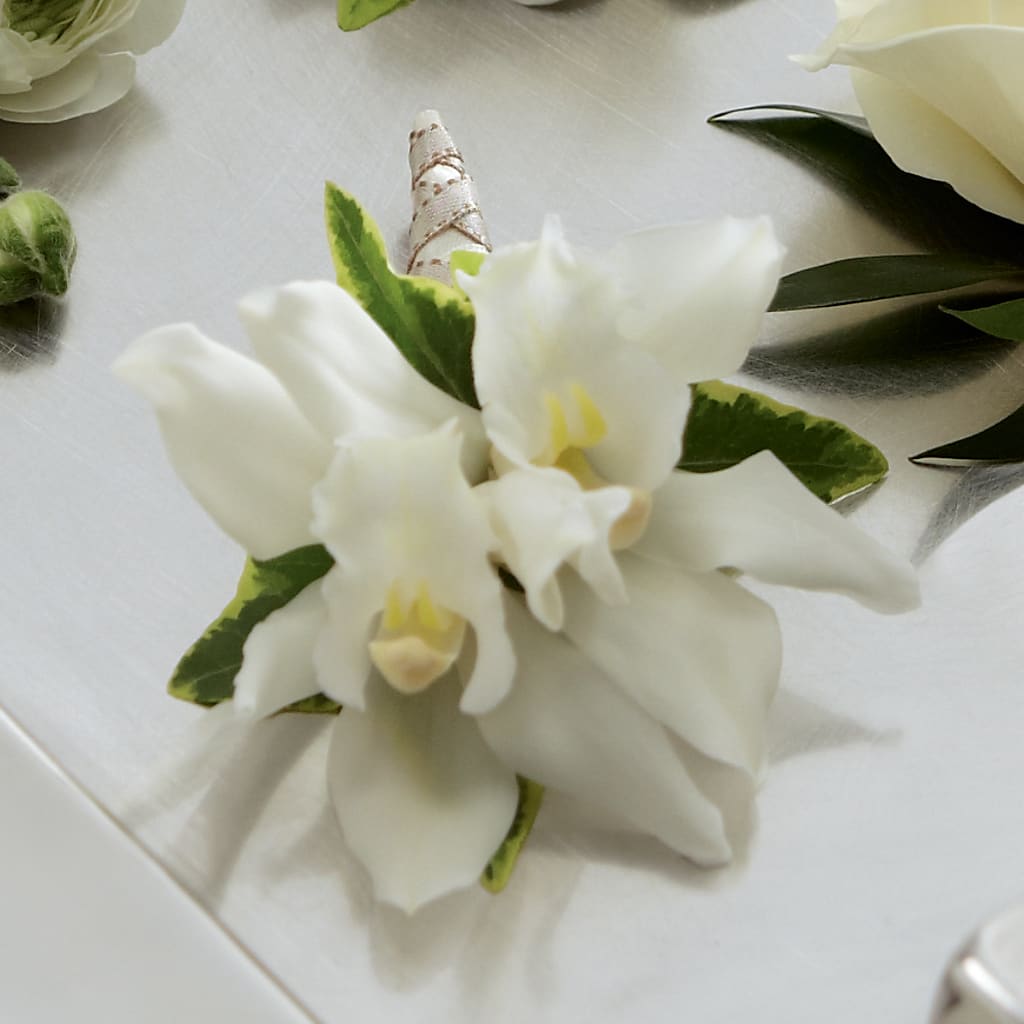White Mini Cymbidium Boutonniere – Heavenly Plants, Regina SK
