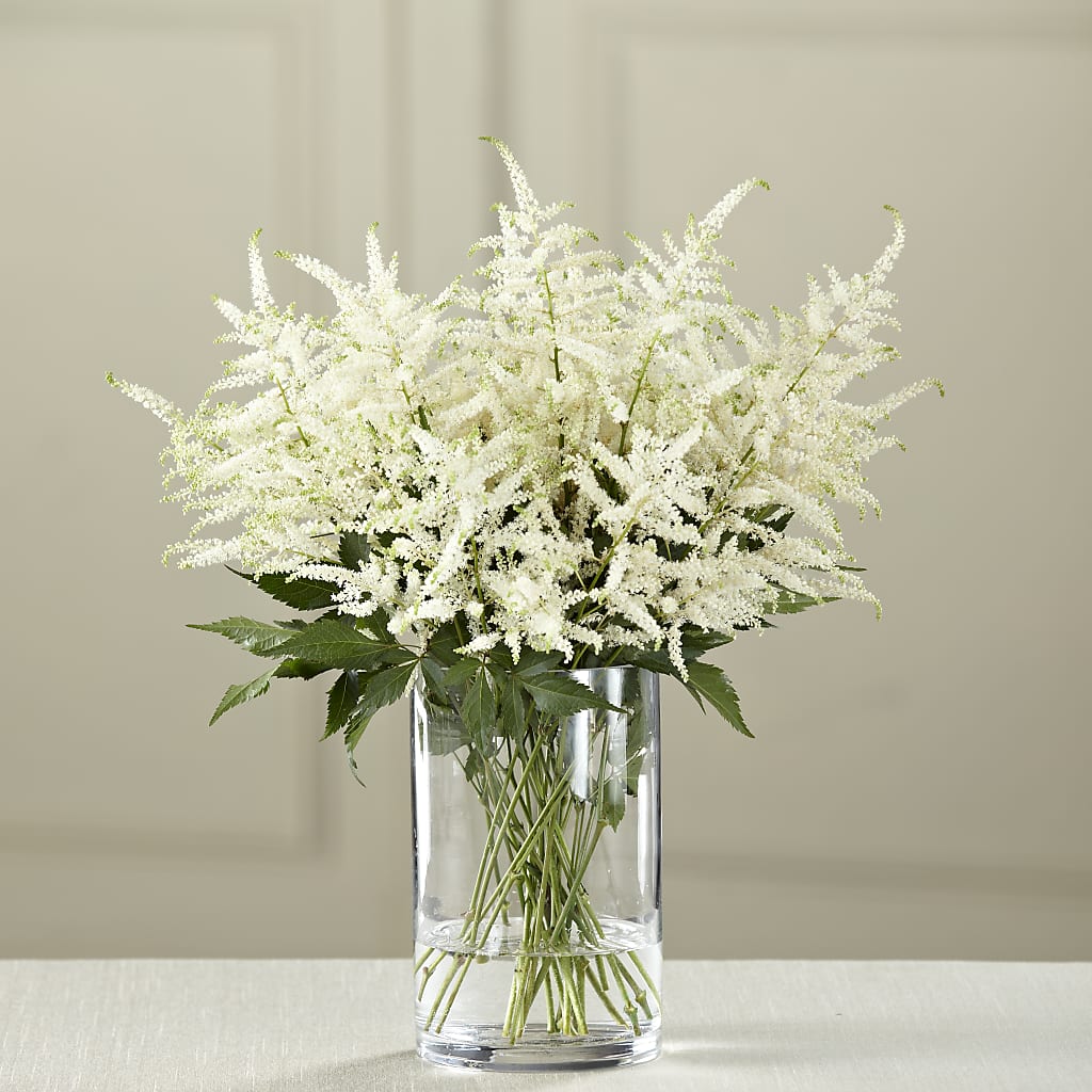 White Astilbe Bouquet – Heavenly Plants, Regina SK