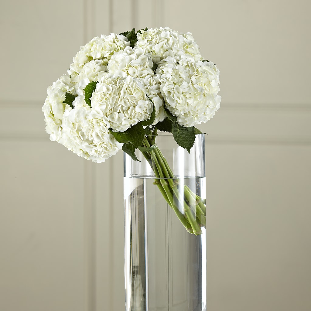 White Hydrangea Hand-Tied Bouquet – Heavenly Plants, Regina SK