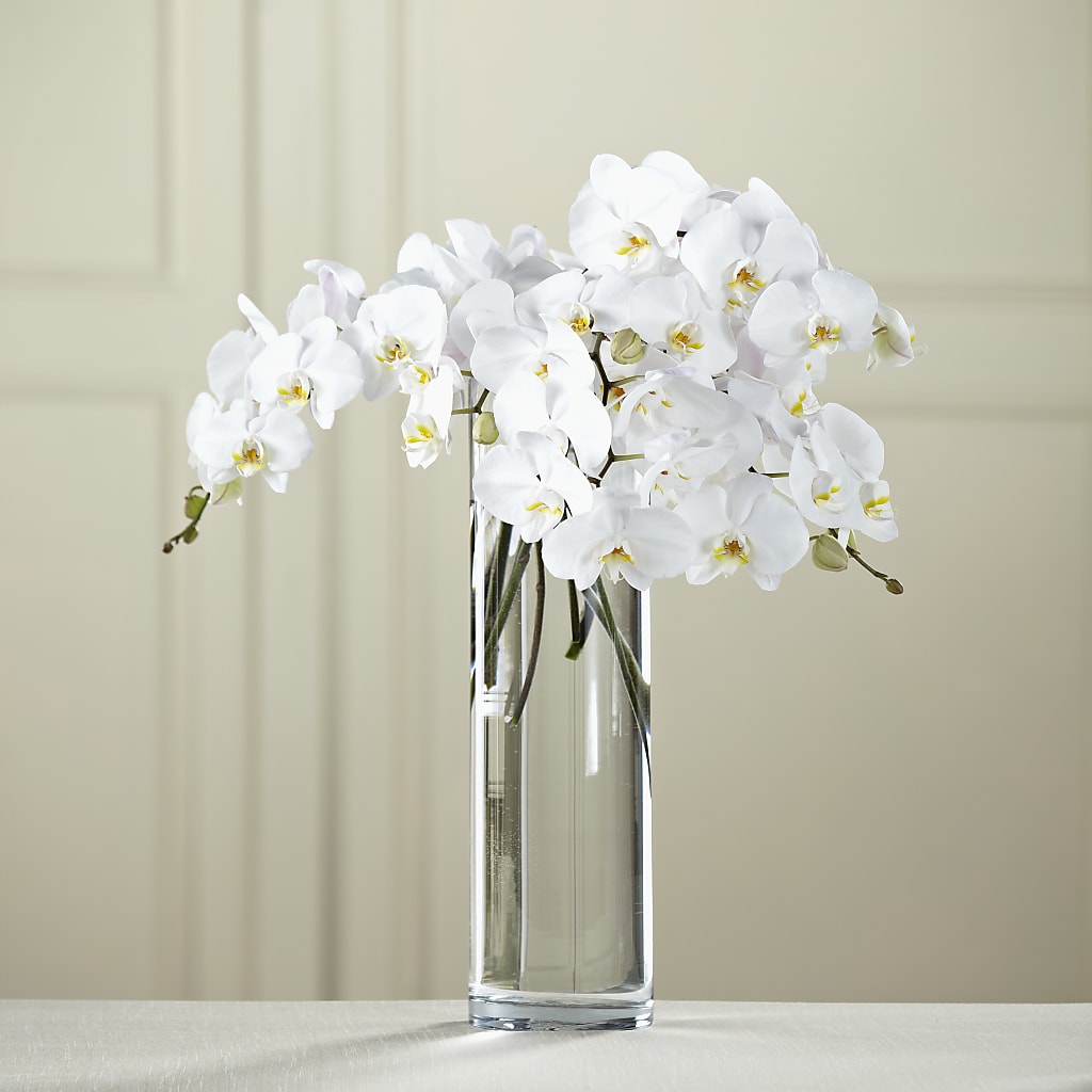 White Phalaenopsis Bouquet – Heavenly Plants, Regina SK