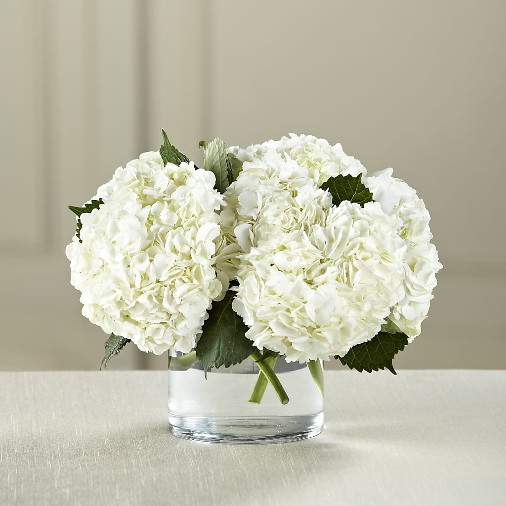 White Hydrangea Bouquet – Heavenly Plants, Regina SK