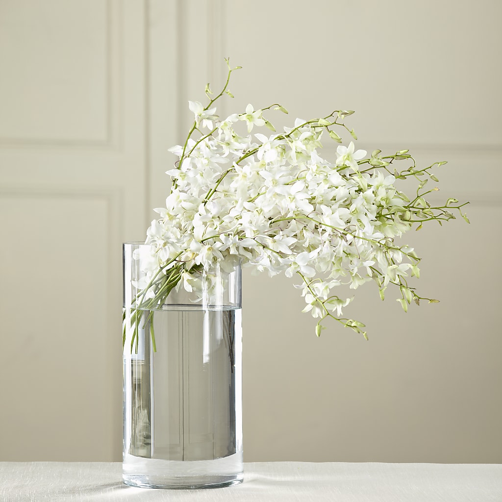 White Dendrobium Bouquet – Heavenly Plants, Regina SK
