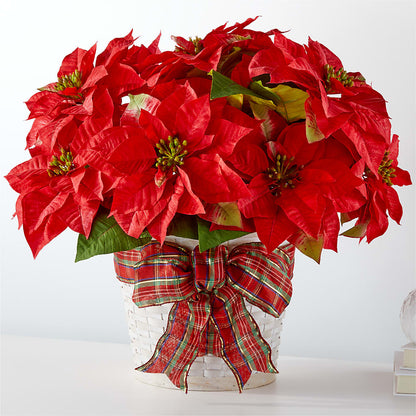 Las fiestas más felices Poinsettia