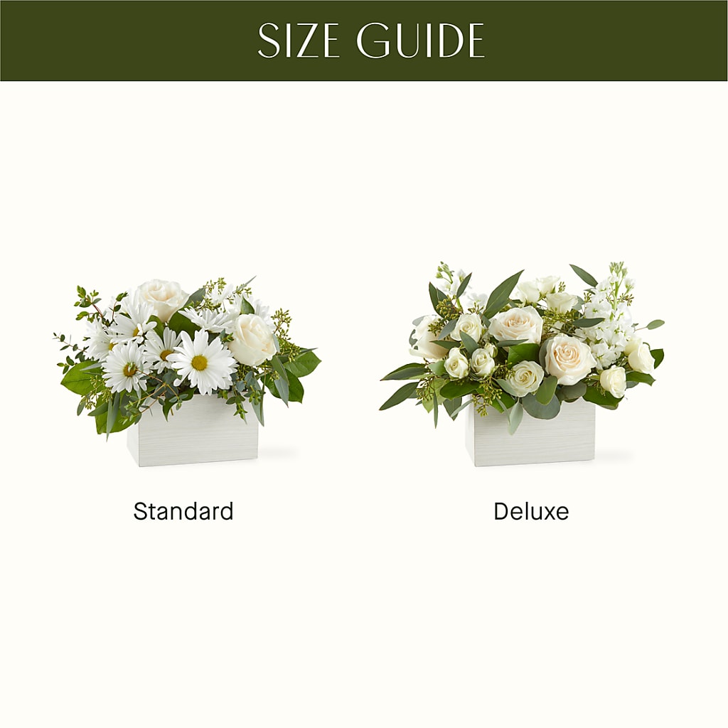 Fresh Linen Box Bouquet –  Heavenly Plants, Regina SK