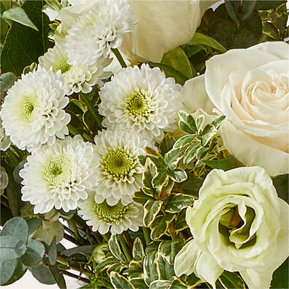Cashmere Bouquet –  Heavenly Plants, Regina SK