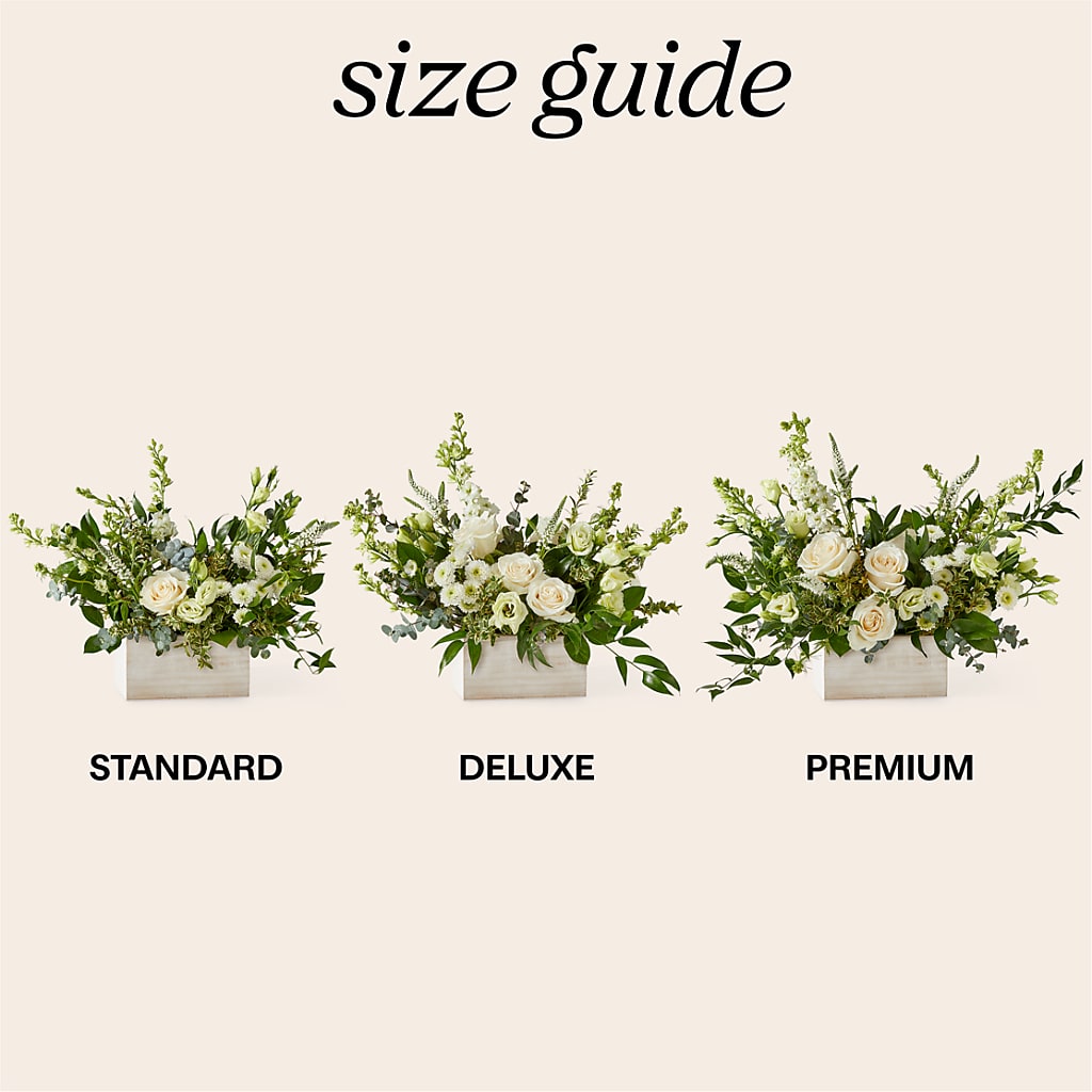 Cashmere Bouquet –  Heavenly Plants, Regina SK