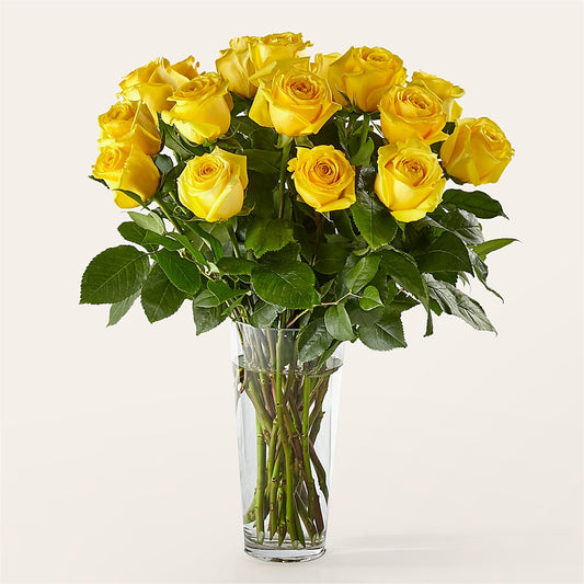 Long Stem Yellow Rose Bouquet –  Heavenly Plants, Regina SK