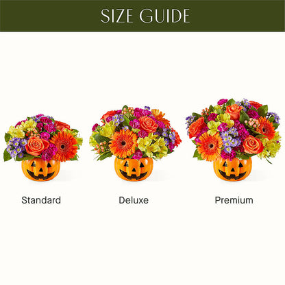 Tricks & Treats Pumpkin –  Heavenly Plants, Regina SK