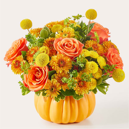 Gourdgeous Pumpkin –  Heavenly Plants, Regina SK