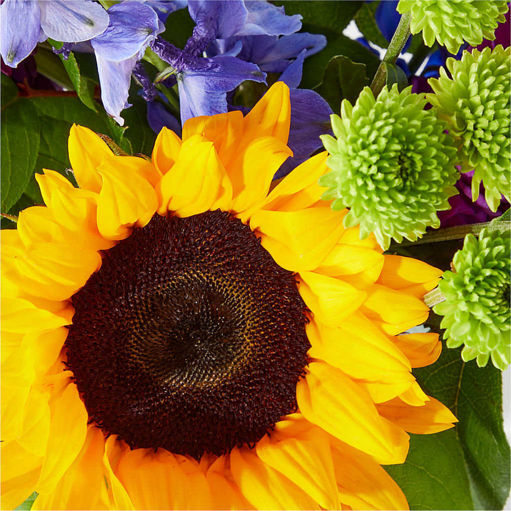 Catching Rays Bouquet –  Heavenly Plants, Regina SK