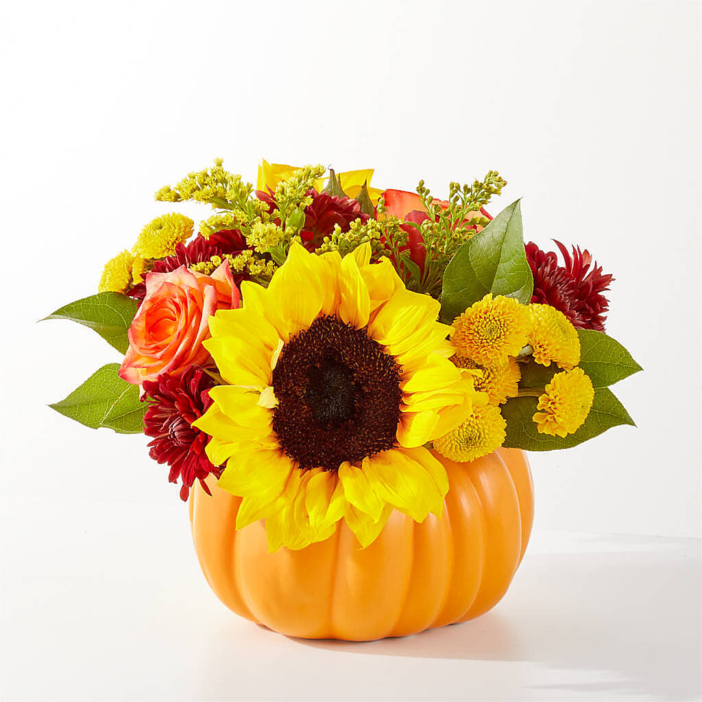 Golden Gourd Pumpkin Bouquet –  Heavenly Plants, Regina SK