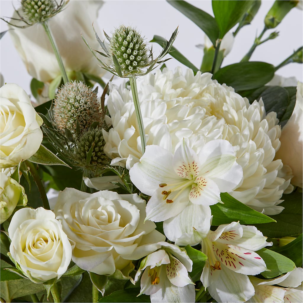 New Beginnings – A Florist Original –  Heavenly Plants, Regina SK