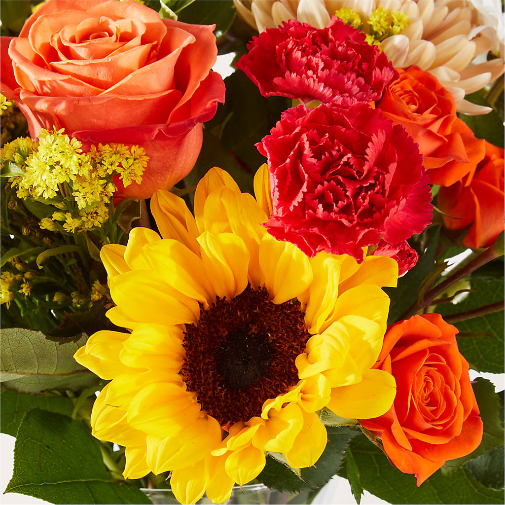 Sweater Season - A Florist Original –  Heavenly Plants, Regina SK