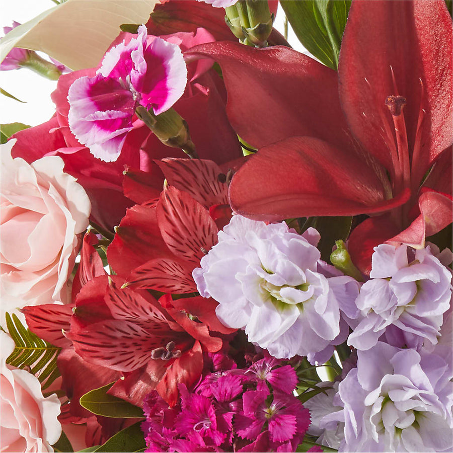 Better Together - A Luxury Florist Original –  Heavenly Plants, Regina SK