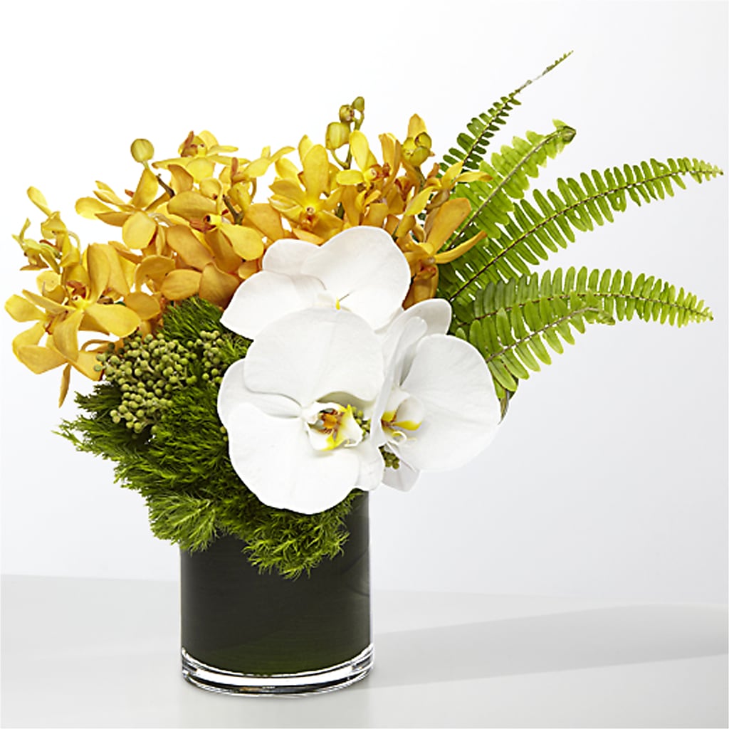 The Tropics –  Heavenly Plants, Regina SK
