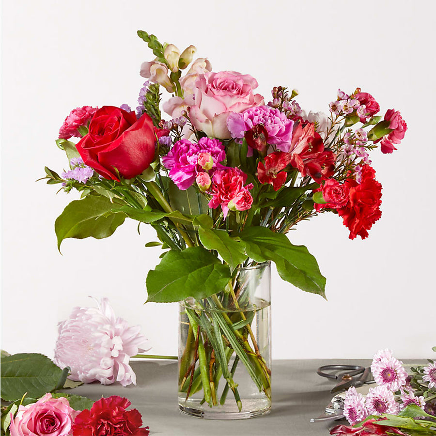 Regal Jewel – A Florist Original –  Heavenly Plants, Regina SK