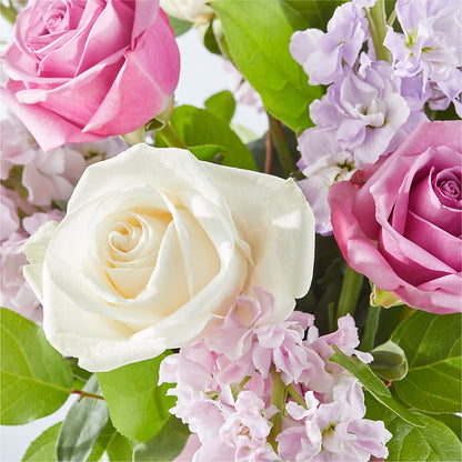 Springtime Spritz Bouquet –  Heavenly Plants, Regina SK