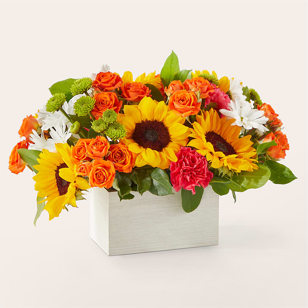 Sun-drenched Blooms Box Bouquet –  Heavenly Plants, Regina SK