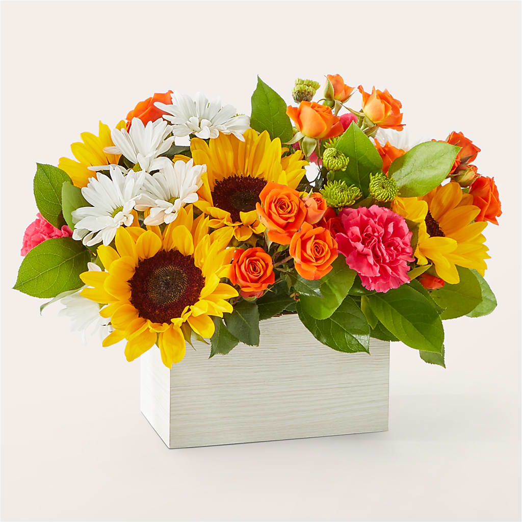 Sun-drenched Blooms Box Bouquet –  Heavenly Plants, Regina SK