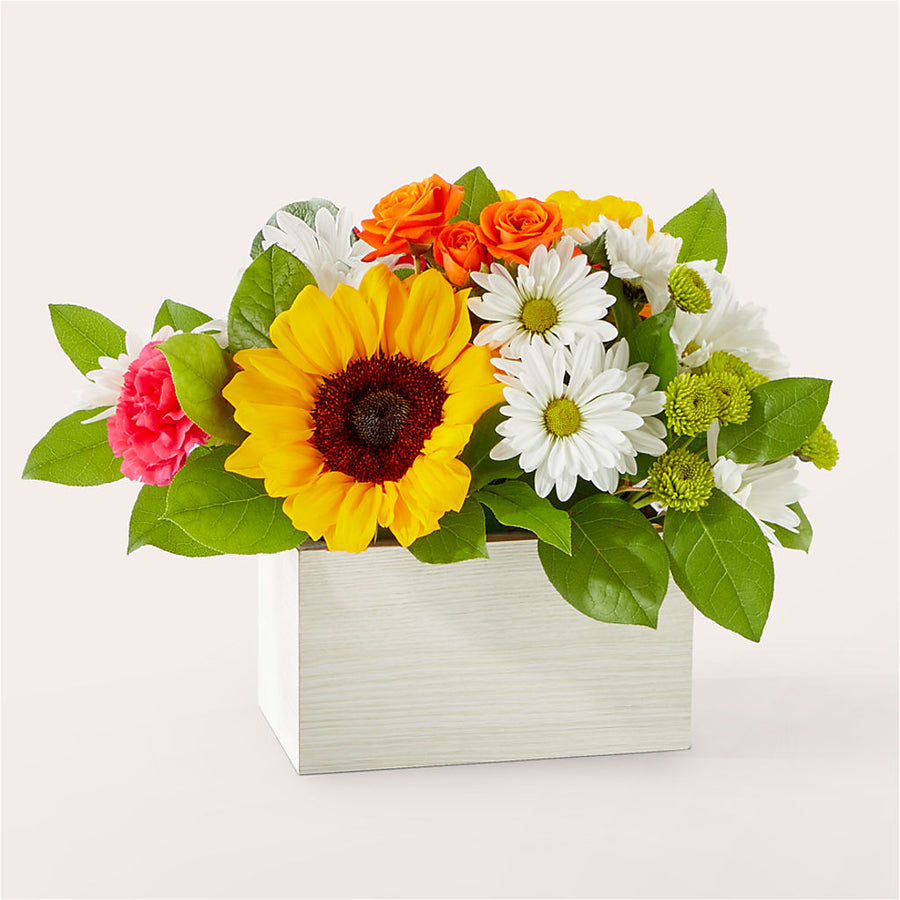 Sun-drenched Blooms Box Bouquet –  Heavenly Plants, Regina SK
