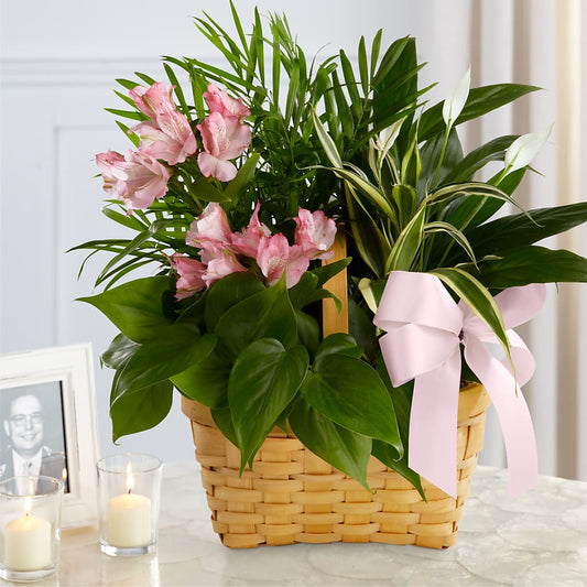 Jardin de l'Esprit Vivant