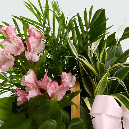 Living Spirit Dishgarden –  Heavenly Plants, Regina SK