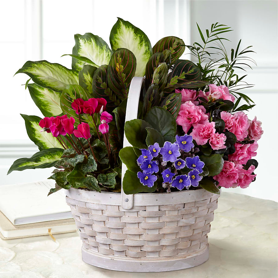 Peaceful Garden Planter –  Heavenly Plants, Regina SK