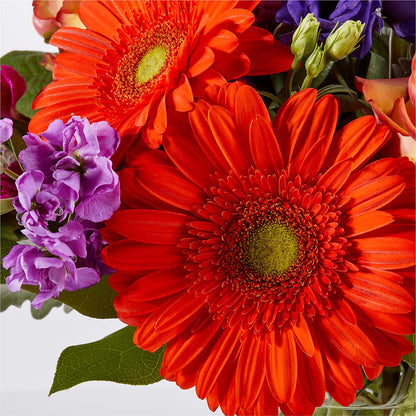 Sangria Bouquet –  Heavenly Plants, Regina SK