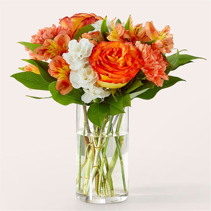 Bouquet Éclat d'Abricot