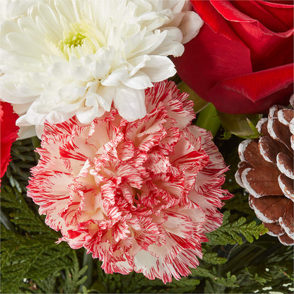 Candy Cane Lane Bouquet –  Heavenly Plants, Regina SK