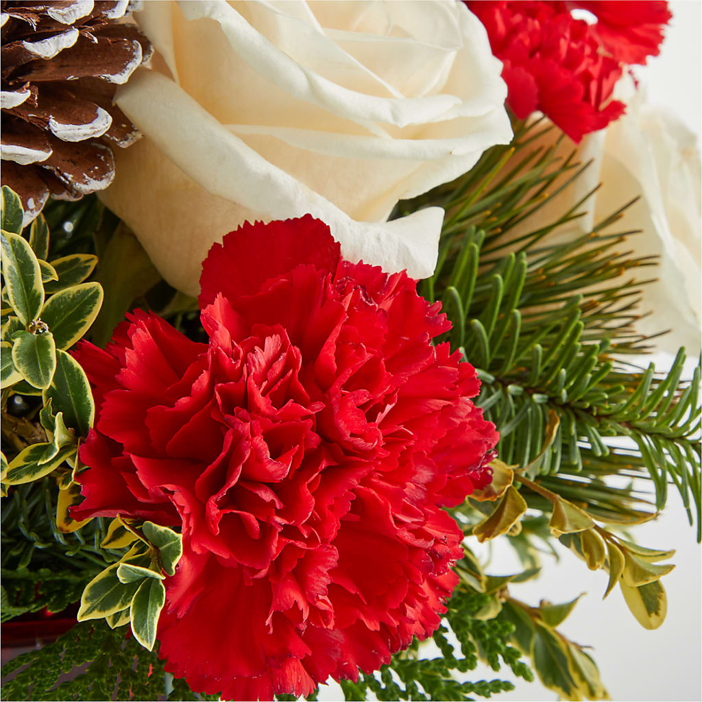Christmas Market Bouquet –  Heavenly Plants, Regina SK
