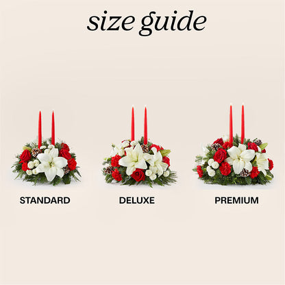 Seasonal Festivities Centerpiece –  Heavenly Plants, Regina SK