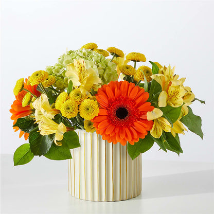 Autumn Sunshine Bouquet with Ivory Vase –  Heavenly Plants, Regina SK