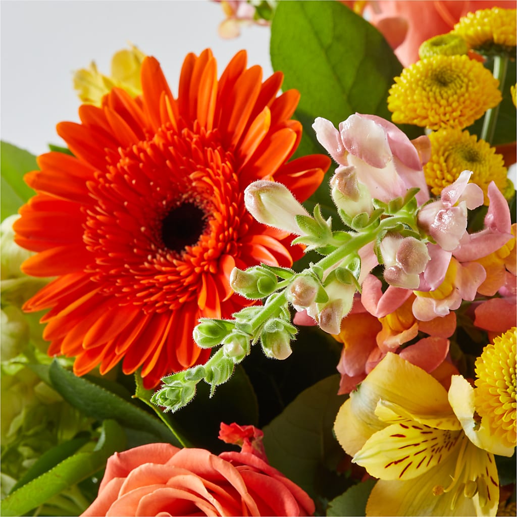 Autumn Sunshine Bouquet –  Heavenly Plants, Regina SK
