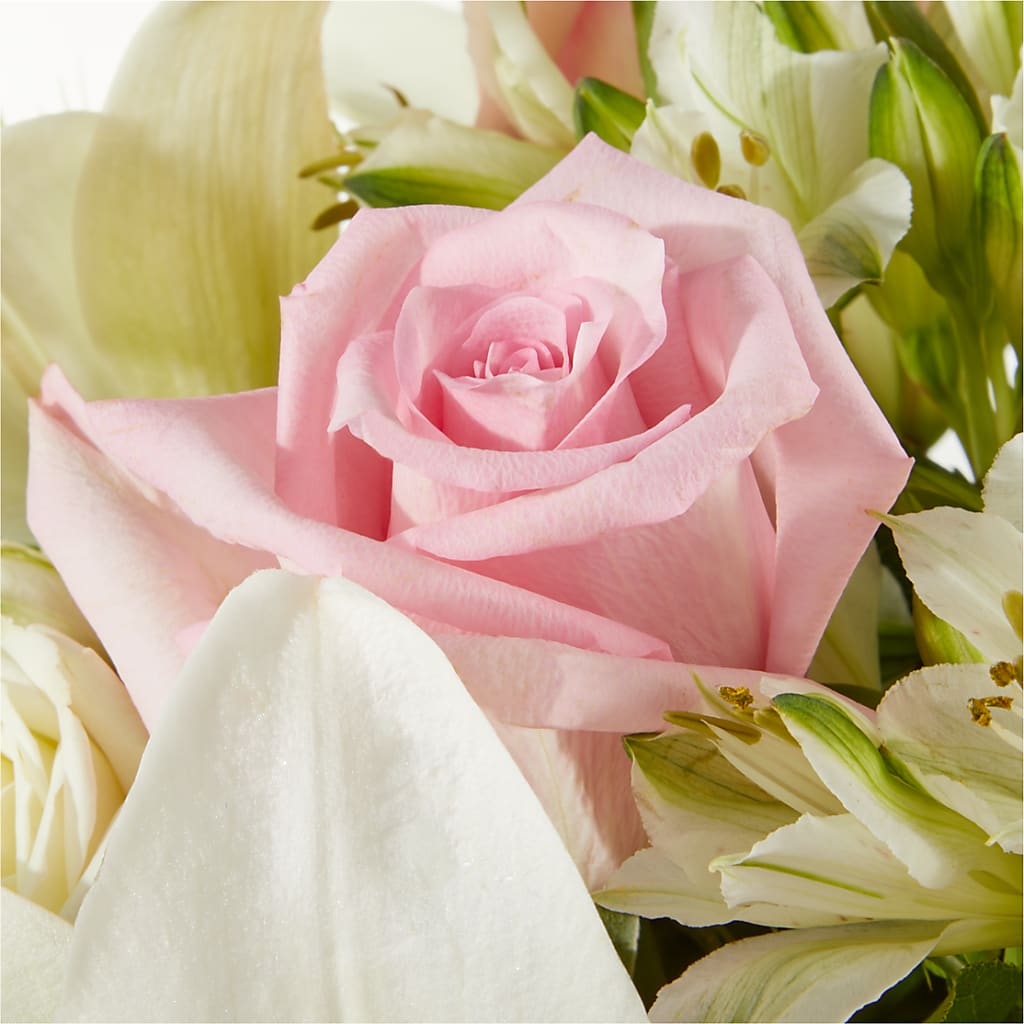 Kindhearted Bouquet –  Heavenly Plants, Regina SK