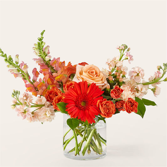 Bouquet Paloma Please