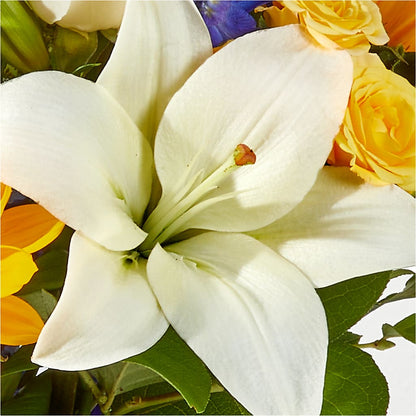 Wonderfully Sunny Bouquet –  Heavenly Plants, Regina SK