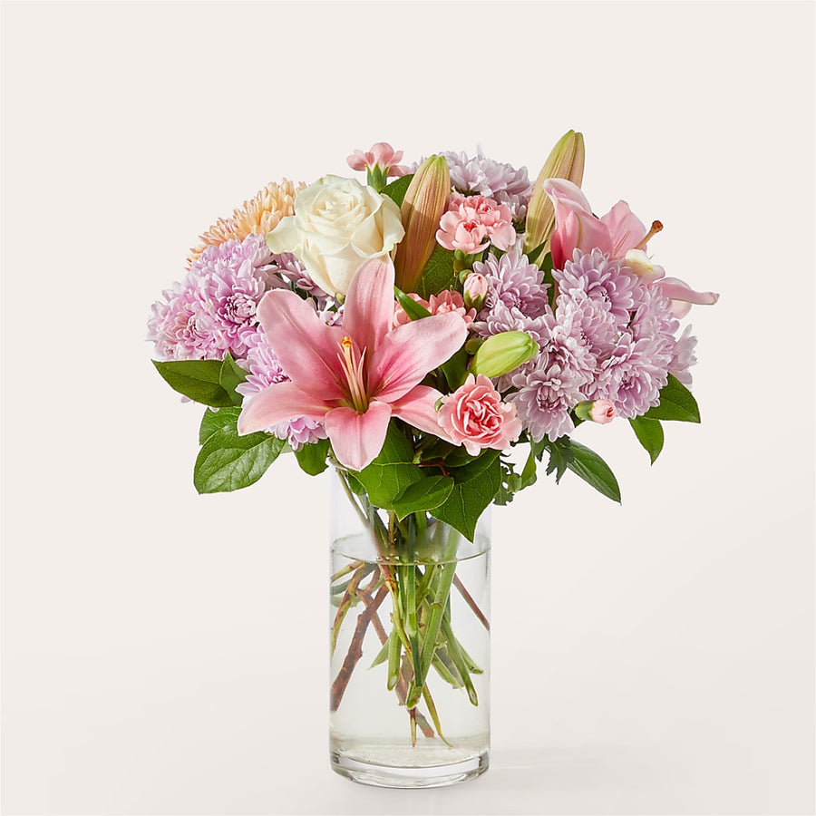 Gelato Bouquet –  Heavenly Plants, Regina SK