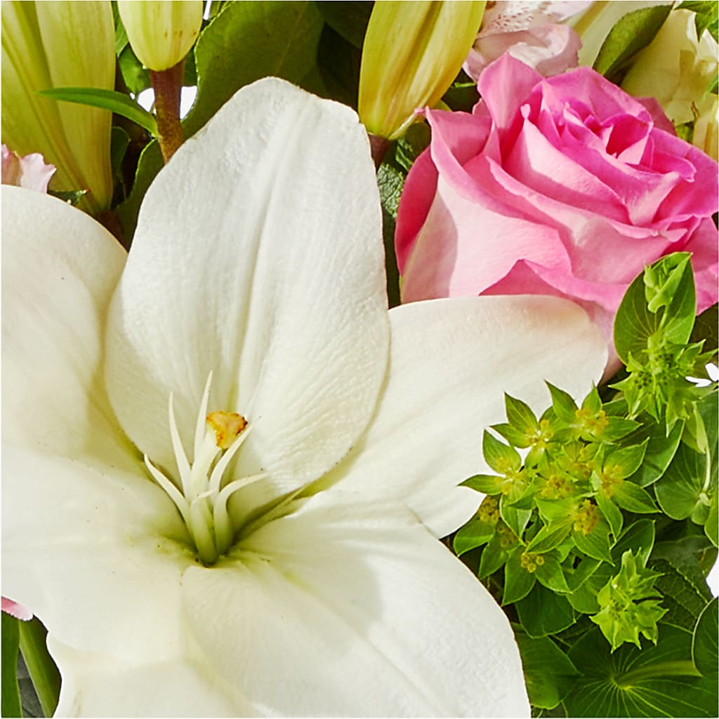 Fondly Bouquet –  Heavenly Plants, Regina SK