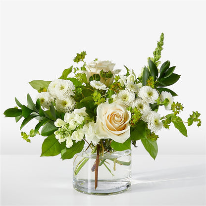 Hint of Vanilla Bouquet –  Heavenly Plants, Regina SK
