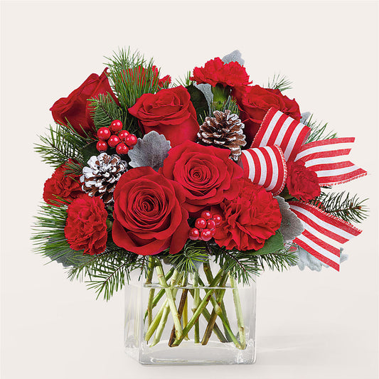 Baking Spirits Bright Bouquet –  Heavenly Plants, Regina SK