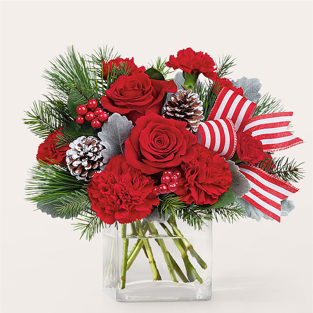 Baking Spirits Bright Bouquet –  Heavenly Plants, Regina SK