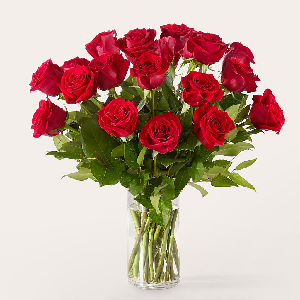 The One Red Rose Bouquet –  Heavenly Plants, Regina SK