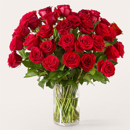 The One Red Rose Bouquet –  Heavenly Plants, Regina SK